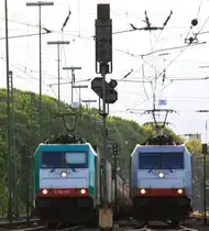186 123 von Railtraxx steht in Aachen-West mit einem einem langen KLV-Containerzug aus Genk-Goederen(B) nach Frankfurt-Höchstadt und wartet auf die Abfahrt nach Köln über Aachen-Hbf,
und auf dem nebengleis steht eine 185 579-0   Adriana  und noch ein 185er von Crossrail stehen in Aachen-West in der Abendsonne am 24.5.2013.
