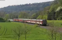 425 420-7 und 465 005-7 als DPE 32817 (Waiblingen-Aalen) bei Lorch 5.5.13