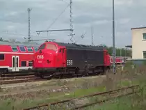 EBS 1131 der Erfurter Bahnservice in Sangerhausen.08.05.13