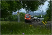 An bl�henden Wiesen vorbei, zieht 1116 266 den GAG 46385 von Breclav nach Tarvisio Boscoverde.
Spielberg 31.5.2013