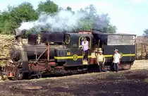  Nr. 11  Sumberharjo  13.08.95