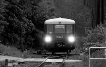 Schwarz-Weiss Impression der Wisentatalbahn LVT 171 056-5 . Foto 01.06.2013