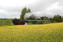 Am 1. und 2. Juni fuhren unter dem Motto  Mit dem nostalgischen Zug die Nachbarn besser kennenzulernen  zwei gut besuchte Sonderz�ge im �sterreich-tschechischen Grenzgebiet, die beide mit der Dampflokomotive 433 001 bespannt waren. Diese Aufnahme zeigt den Zug vom 2. Juni auf der Fahrt von Retz nach nach Jemnice. Das Wetter war leider tr�b und regnerisch, doch bot sich hier die Gelegenheit, einen Zug auf der seit 2010 stillgelegten Strecke zwischen Moravsk� Budějovice und Jemnice zu fotografieren. (02.06.2013)