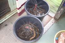 Einige der Fahrgäste im บชส. 484 (บชส. =BTC./Bogie Third Class Carriage), aufgenommen am 17.Mai 2013 während der Fahrt mit dem ORD 446 zwischen den Bahnhöfen Ban Duat und La Mae.