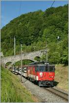 Die R�ckleistung des De 4/4 (110 021-3) war dann weitaus fotogener.
Bei Niederried, den 5. Juni 2013