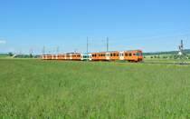 Be 4/12 Nr. 56 und Be 4/8 Nr. 42 als S8 2170 bei Urtenen, 06.06.2013.

