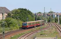 6.6.13 S1 nach Oranienburg zwischen Bornholmer und Wollank Stra�e.