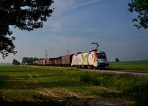 1116 130 mit einem G�terzug am 08.06.2013 bei Langenisarhofen.