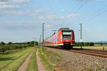 425 213-6 und 425 *** Richtung Germersheim bei Lingenfeld. Aufgenommen am 06.06.2013.