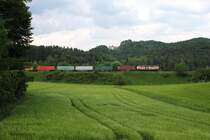 BTE 217 002 am 8.6.13 die Steigung rauf nach Neukirchen weiter nach Wiesau