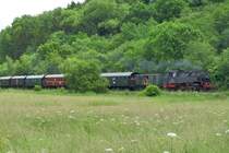 64 419 im Rahmen von Sonderfahrten am 8. und 9.6.13 zwischen Merzig-Dillingen und Limbach bei Schmelz. Hier bei Bilsdorf am 9.6.