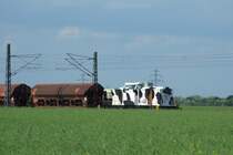 Hochwasser-Umleiter - ...hing die herrlich ins Gr�n passende  Kuh-Lok  1001 (293 002) der BTE - hier in H�he der Ortschaft  Marke . 
Marke, der 8.6.13