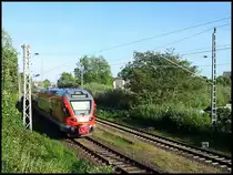 5-teiliger Stadler Flirt (BR 429) in Lancken am 03.06.2013