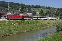 Die Schafe lassen sich durch die Vorbeifahrt der Re 4/4 II 11135 mit dem „RHEINTAL-EXPRESS“ RE 3815 nicht bei der B�schungspflege des Rheintaler Binnenkanals st�ren (Au SG, 08.06.2013).