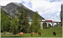 G�terzug 5140 mit Ge 6/6 II 703  St.Moritz  auf Talfahrt �ber das Albulaviadukt III. (12.06.2013)