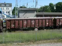 Tschechischer Tams(Ordnungsnr:31 57 0807 282-7),am 11.Juni 2013,in Bergen/R�gen.