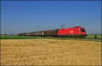 1016.022 mit G�terzug am 17.06.13 kurz nach Ober-Eggendorf Richtung Ebenfurth.