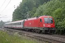 Im Fr�hnebel zieht die 1216 228 den EC172 (Villach - Hamburg) am 17.06.2013 durch Langenwang.