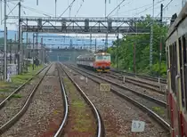 242 252-5 ČD mit Fernzug R 830 „Tajov“ Zvolen os. st./Altsohl Persbf. – Bratislava hl. st. (Kurswagen: Zr 1841 / R 830: �ilina – Zvolen – Bratislava), von Pendelzug mit Tw M240 039 / 820 039-6 zwischen Pre�burger Hauptbahnhof und Bahnmuseum „Rendez“ gesehen; 16.06.2013 