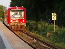 Bei planm��igem Verkehr erreicht die Regionalbahn 3244 von Lindau nach Radolfzell nach genau 50 Kilometern das Ziel sowie das Ende bzw. den Anfang der Bodenseeg�rtelbahn in Radolfzell. Auf Grund eines Hangrutsches in Sipplingen und einer damit verbundenen Streckensperrung zwischen �berlingen und Sipplingen endet die Fahrt von Regioshuttle 650 317 vorzeitig in �berlingen. Aufnahme entstand am 06.06.2013 an der Haltestelle Friedrichshafen Landratsamt.
