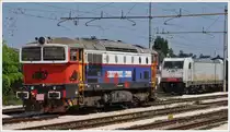 D753 007 Sistemi Territoriale und E483.025SI in Rovigo. (16.06.2013)