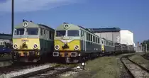 Abgestellte Dieselloks im Bahnbetriebswerk Zagan am 3.6.2000.
Vorne erkennt man die Gro�diesel Lokomotiven SU 46-048 und SU 46 - 011.