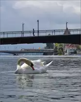 Pose im Spotlight.

Nach dem zweiten Angriff auf meine Fototasche gab es zum Ausgleich noch eine Pose vor dem Seehas. Konstanz, im Juni 2013.
