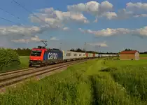 Re 482 044 mit einem Containerzug am 28.05.2013 bei Batzhausen.