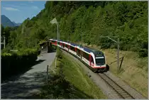 Ein  Adler  bei Niederried. 
5. Juni 2013