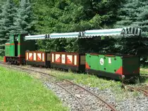 Gr�ne Ns2f der Niederw�rschnitzer Ziegeleibahn/Feldbahn am 7.7.2013 beim Rangieren am Loksschuppen.