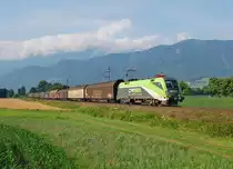1116 142 ist am 08.07.2013 mit dem 47838 bei 
Kirchdorf an der Krems zu sehen gewesen.