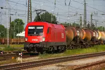 Einer der ersten Taurus : 1016 005 in Rosenheim - 18/06/2013