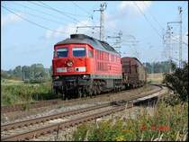 BR 233 217-9 mit einem GZ kurz nach verlassen des Rostocker Seehafens. Aufgenommen auf H�he Alt Bartelsdorf am 20.9.06