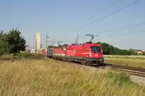 1116.016+1144.278 mit G.Z. nach Wr.Neustadt bei der Durchfahrt in Ober Eggendorf am 8.7.13.