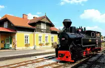 Is die schwarz , ist die Neu?? Nein von Georg behandelt!! Maxi alias 764.411 R kehrt von Ihrer Hauptuntersuchung aus Rum�nien zur�ck. 9.Juli 2013 