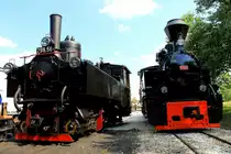 Nach Ihrer Hauptuntersuchung in Rum�nien rollt 764.411R erstmals wieder ins Heizhaus Stainz. Bis Sie Voll Betriebsbereit ist bleibt jedoch 298.56 als Triebfahrzeug f�r den Flascherlzug im Dienst. 9.Juli 2013