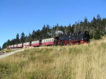 Das Foto find ich pers�nlich sehr sch�n! Die Brockenbahn am Anfang vom Bahnparallelweg auf der R�ckfahrt am 9.September vom Brocken nach Wernigerode! Der Zug f�hrt wie alle Z�ge (Sommerfahrplan) an dieser Stelle in die Ausweichstelle, um den Zug der zum Brocken entgegen kommt, durchfahren zu lassen! Auf einem andern Foto von mir sieht man die Ausweichstelle mit Zug