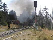 Auf dem Bild sieht man, wie links in der Ausweichbucht der Zug vom Brocken nach Wernigerode auf den Zug wartet, der aus Richtung Wernigerode - Drei-Annen-Hohne - Schierke zum Brocken f�hrt! 
Am 20.August aufgenommen