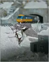 Wie Jeanny k�rzlich richtig bemerkte, kann man unter dem  Schnee  so manches ungewollte verstecken. Doch im Gengenzug fallen die Laubb�ume weg, die im Winter kahl sind und sich kaum zur Kaschierung eignen.
(Die Sch�rfeebene liegt gewollt auf dem blattlosen Baum (Bildmotiv) und nicht auf dem Zug (Hintergrunddekoration)).
T Gauge, Massstab 1:450
11. Juli 2013 