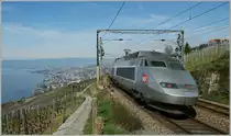 In Lausanne ist der TGV t�glich zu Gast (ausgenommen die SNCF streikt), doch auf so hohem Niveau �ber dem Lac L�man ist der TGV nur auf �bergabefahrten zu sehen, wenn infolge Bauarbeiten der TGV Bern - Paris ausf�llt.
Bei Grandvaux, den 1. April 2011