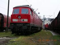 233 295 im Aussengel�nde in Senftenberg