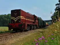 Die S�dlimburgische Dampfeisenbahngesellschaft (ZLSM) feiert am 13.-14.07.2013 ihr 25j�hriges Jubil�um. Hier f�hrt 2225 als Gastlok des  Stichting Museum Materieel Railion  bei den  Stoomtrein Jubileumdagen  (Dampfzug-Jubil�umstagen) am 14.07.2013 zwischen Spekholzerheide und Simpelveld.