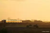NOB81823 Westerland->Husum mit einem ER20 xxx im sch�nstem Abendlicht  zwischen Westerland und Nieb�ll kurz vor Morsum auf Sylt am Abend des 10/07/13.