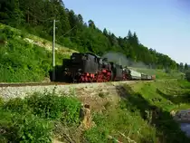 Am Abend des 14.07.2013 fand die R�ckf�hrung der Fahrzeuge des Bad Herrenalber Bahnhofsfestes 2013 statt. Der Trumtriebwagen wurde verfolgt vom Gespann aus 58 311 und Schlachtschiff 01 1066 samt  Z�gle . �ber die paar Wagen lachten die 2 sich bei der Talfahrt nur eins ab ;-) Der Zug wird in wenigen Sekunden die ehemalige Landesgrenze zwischen W�rrtemberg und Baden (im R�cken des Fotografen) passieren.
Danke an die AVG-Bahnmeisterei f�rs Abholzen, sowie Gru� ans Personal und den Mitfotografen.