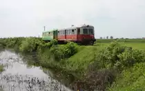 Die Landschaft an der rum�nischen Nebenbahn Ionel - C�rpinis �hnelt ein wenig
der ungarischen Puszta. Am 11.5.2010 ist hier die Malaxa Triebwagen Einheit
954 und 979 aus Ionel kommend unterwegs.