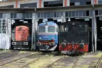 Eingerahmt von der GFR 69-0032-8 und dem rechts stehenden Einzelst�ck
CFR 95-0001-8 steht ein  Krabbenkutter  im Depot Timisoara Nord. 
Es handelt sich um die Diesellok 60-0362-8, die ich unter vielen anderen
am 12.5.2010 im Depot Timisoara ablichten durfte. Der Depot Chef f�hrte uns
selbst und zeigte uns seine vielf�ltige Lok- und Triebwagen Ausstattung.