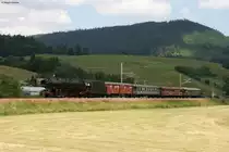 Weil die 58 311 wegen einem Lokschaden au�er Betrieb war, sollte der Sonderzug mit einer Diesellok durch das Murgtal nach Baiersbronn fahren. Doch einen Abend vor der Fahrt konnte die 01 1066 f�r die 58 311 einspringen. 01 1066 mit dem Sonderzug Karlsruhe-Baiersbronn bei R�t am 07.07.2013.
