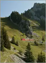 Ein Zug der Schynigen Platte Bahn auf halben Weg zwischen Breitlauenen und der Gipfelstation.
10. Sept. 2012