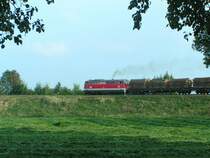 2043 034-4 hat m�chtig mit einem G�terzug zu k�mpfen (Ausfahrt Bhf. RIED i.I. 2006-09-29)