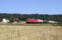 233 373 bespannte am 19.7.13 den EZ 45360 von Cheb nach N�rnberg, der �ber Weiden umgeleitet wird, bei Sch�nlind
